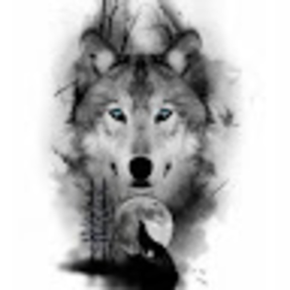 Meet your Posher, Just done - Picture 1 of 1